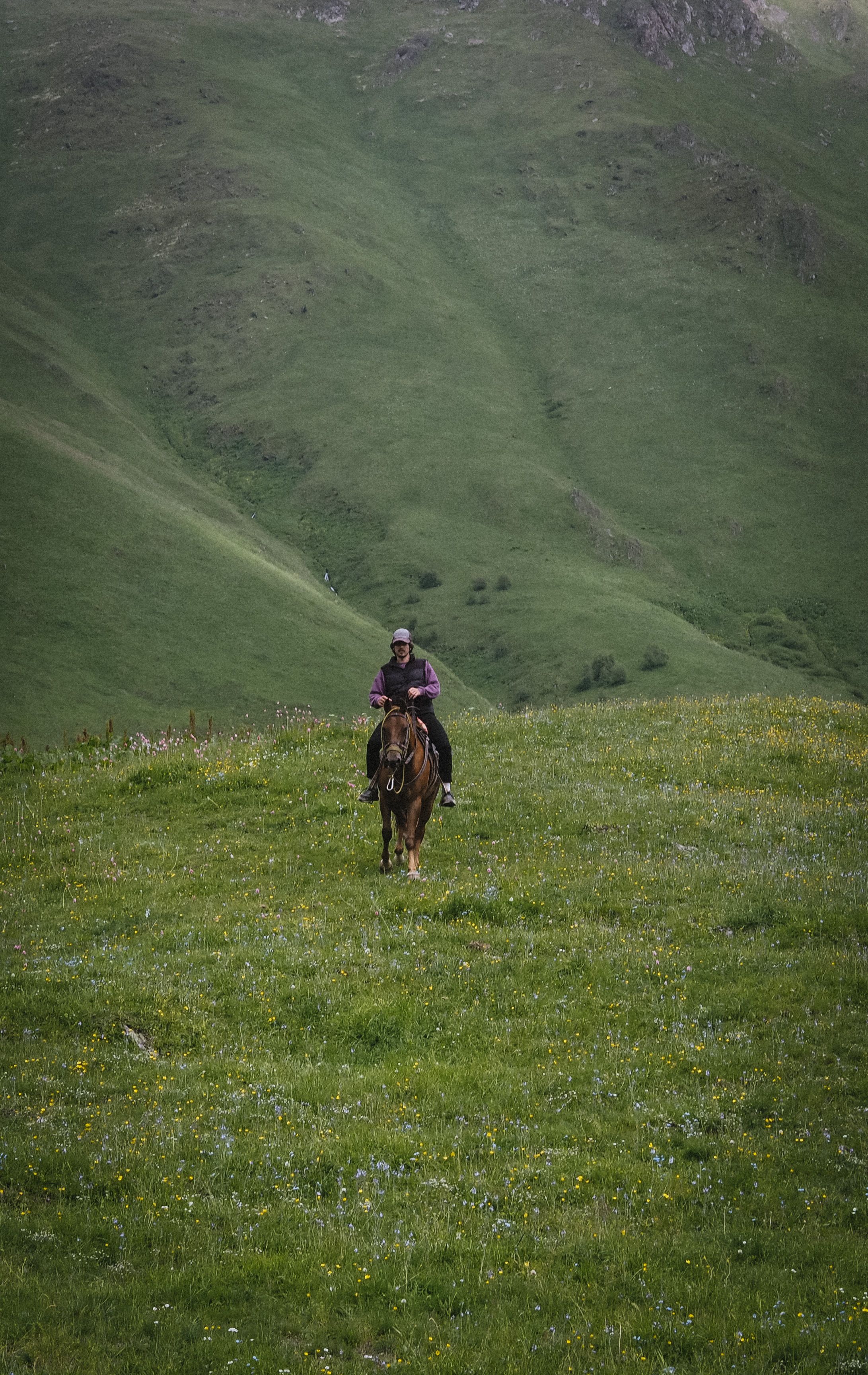 Man Riding a Horse in a Valley · Free Stock Photo