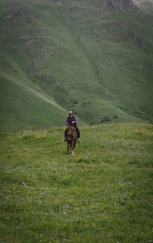 Rider crossing a green valley on horseback — photo by Nikolaeva Nastia on Pexels