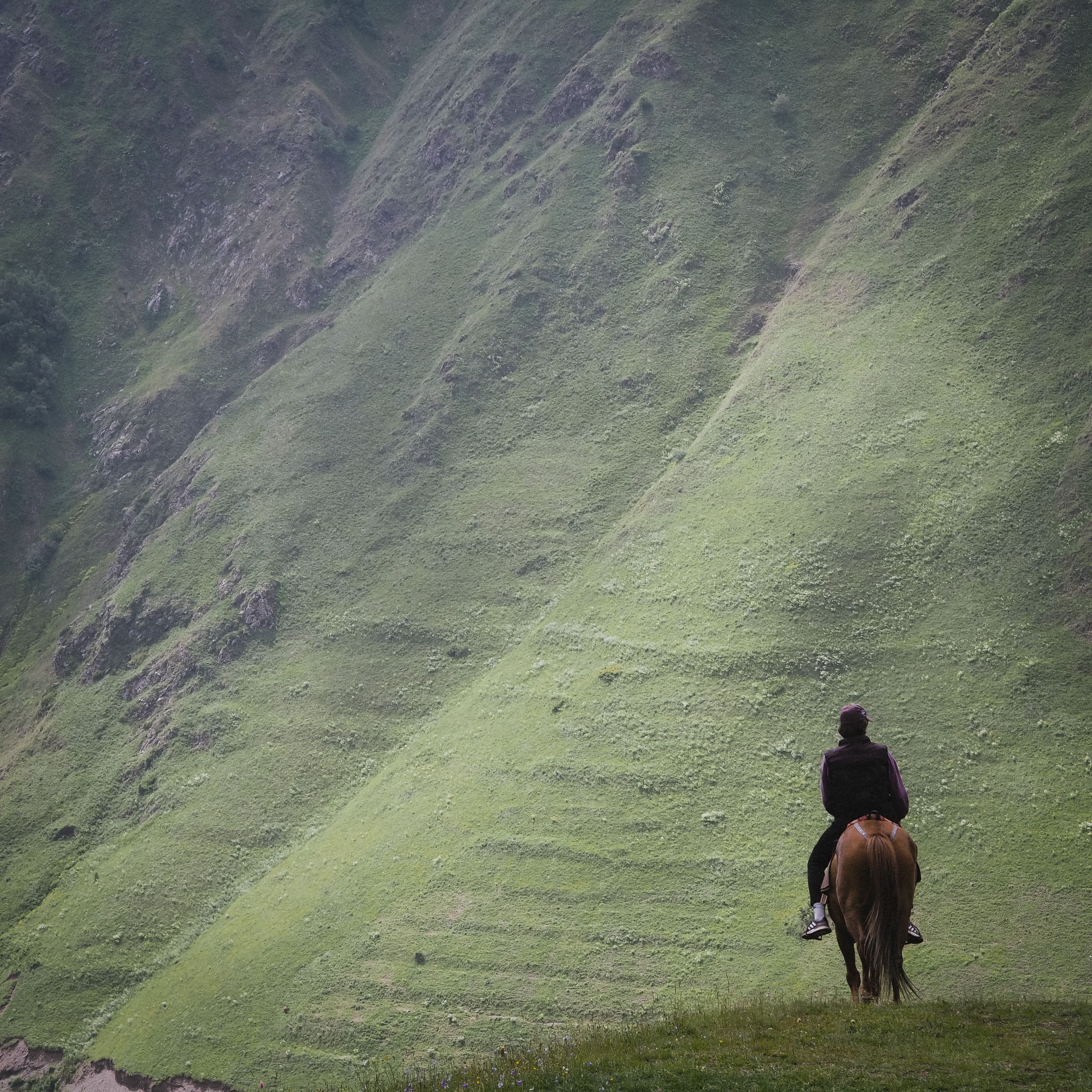 Man Riding a Horse on a Valley · Free Stock Photo
