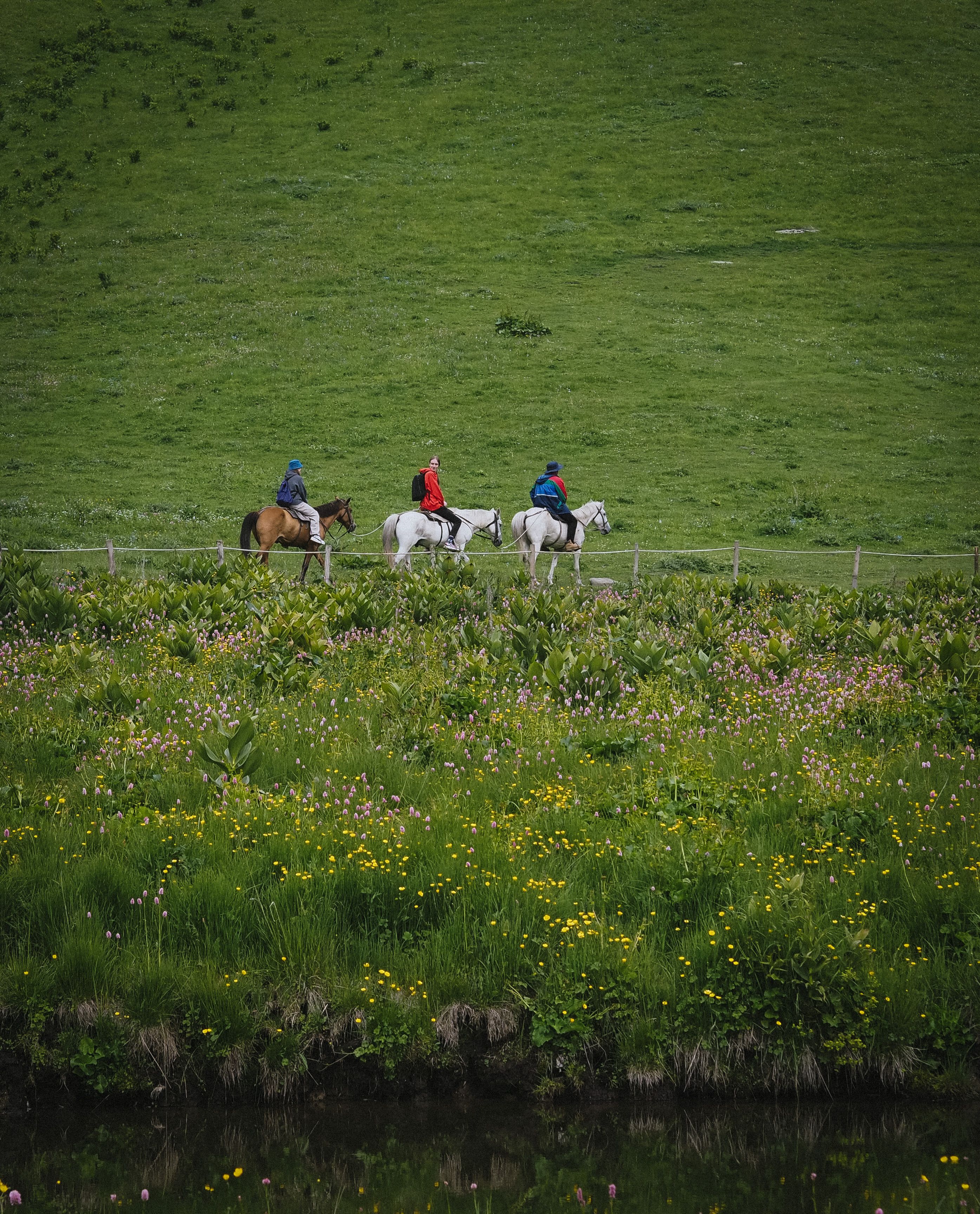 Rutas a caballo