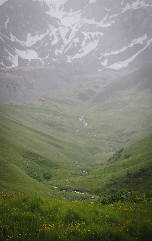 Foto profissional grátis de garoa, grama, montanha