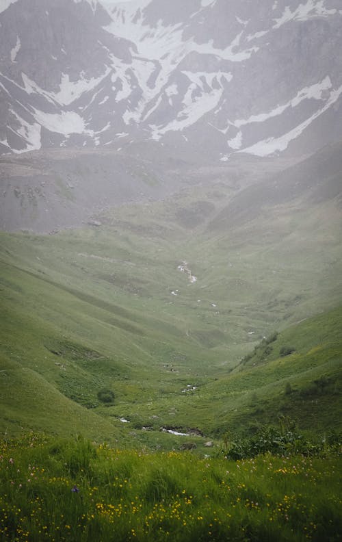 Mountain Valley in Fog