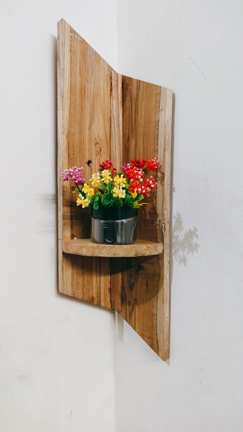 꽃, 목조, 선반의 무료 스톡 사진