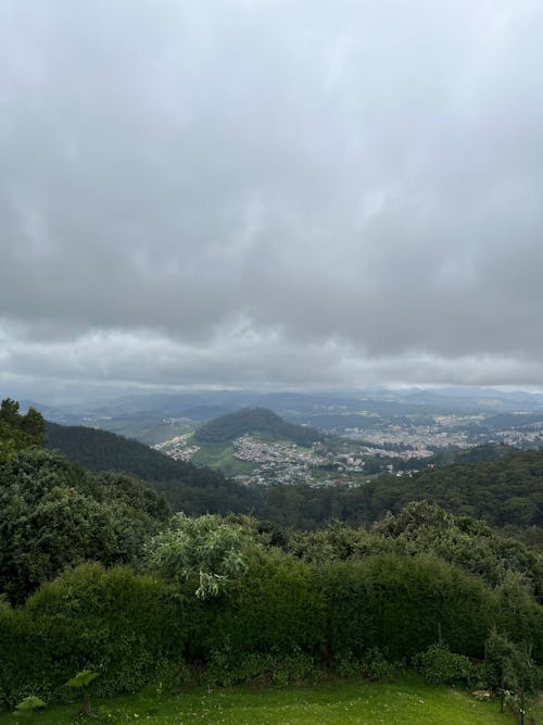 Gratis stockfoto met bewolking, bomen, Bos