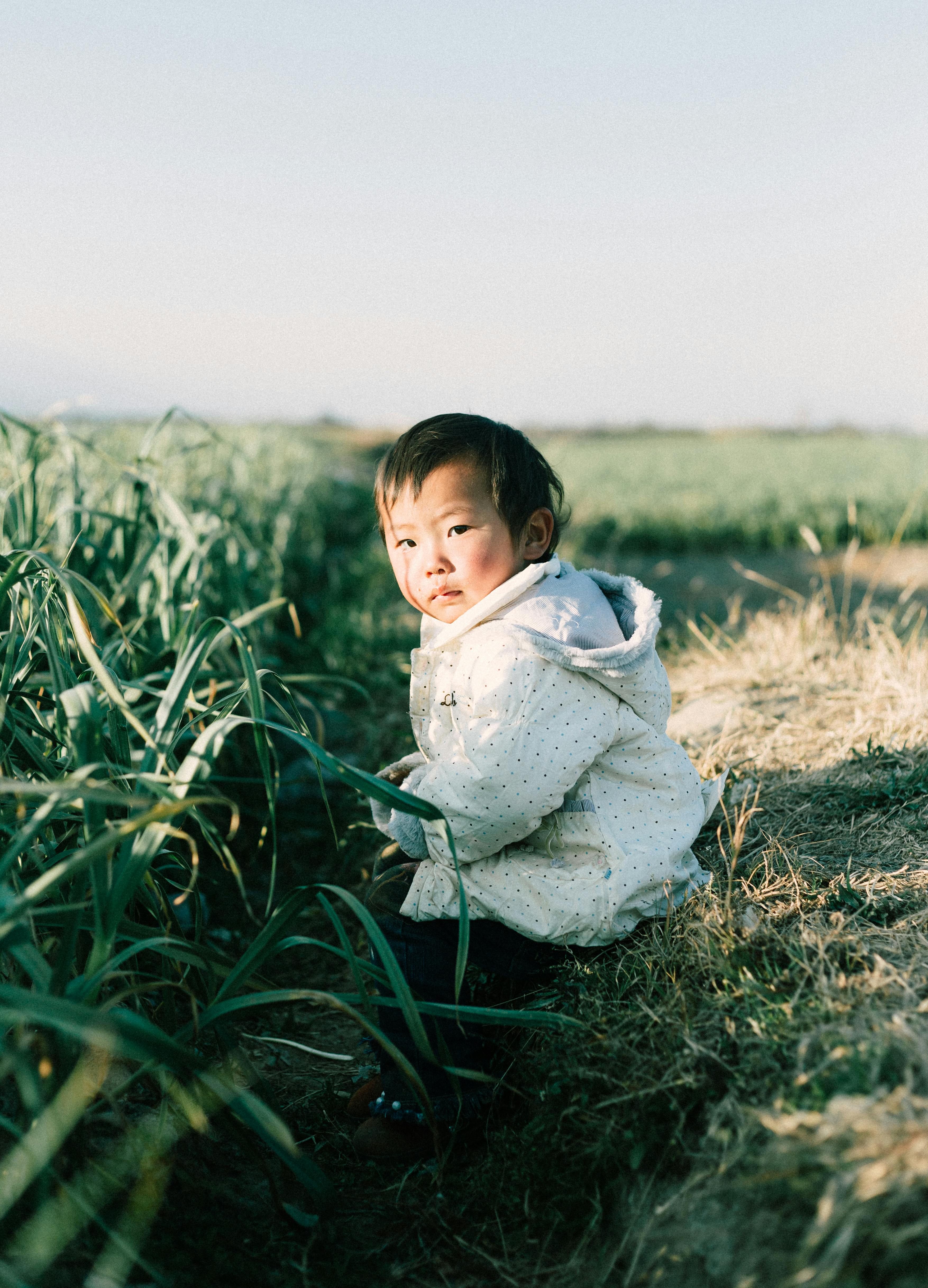 Young child sitting in a rural field during a sunny day, surrounded by crops.
