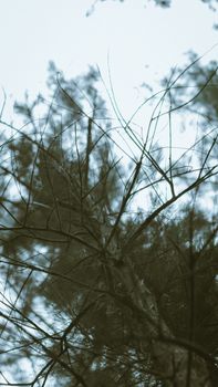 Image by Franco Garcia