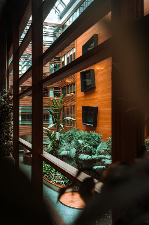 Plants in a Modern Building 