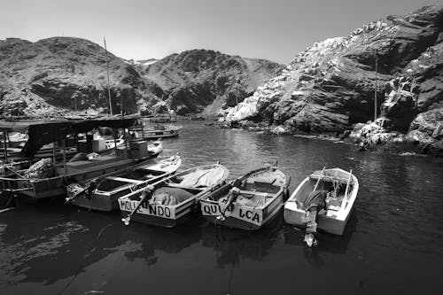 Black and White Photo of Boats Moored in a Port 