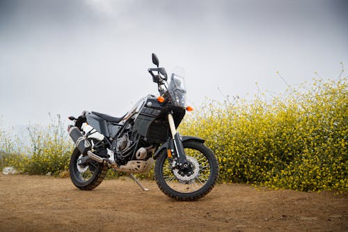 Motorcycle Parked by a Meadow with Yellow Flowers