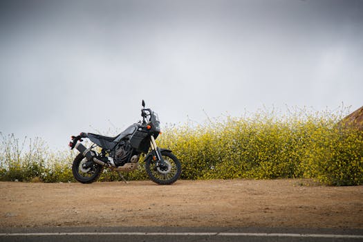 Motorcycle resting by wildflowers on a dirt road in Malibu, CA.