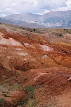 Image by Shuvalova Natalia