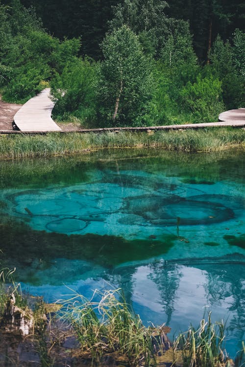 View of a Turquoise Body of Water and Trees 