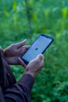 Close-up of a man using a smartphone in a vibrant green forest, showcasing technology in nature.