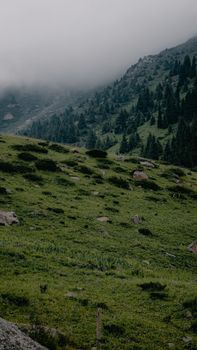 Image by White Noiise