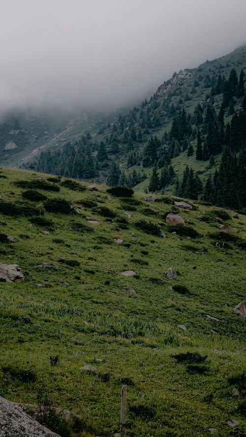 Free Serene misty mountain landscape with lush greenery in Almaty, Kazakhstan. Stock Photo