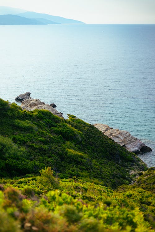Scenic Panorama of a Rocky Seashore