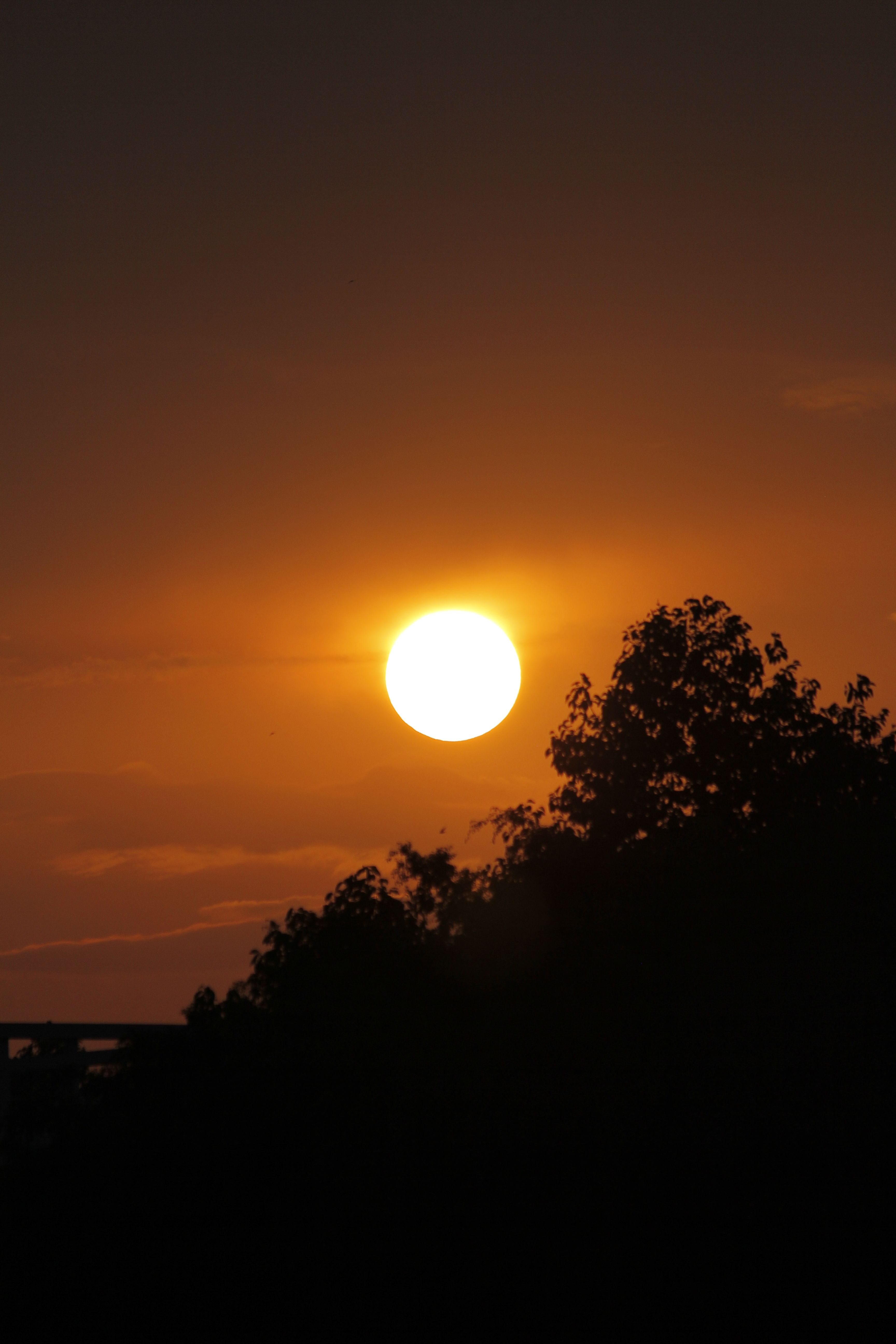 Free A stunning sunset with a bright sun and tree silhouette creating a serene scene. Stock Photo