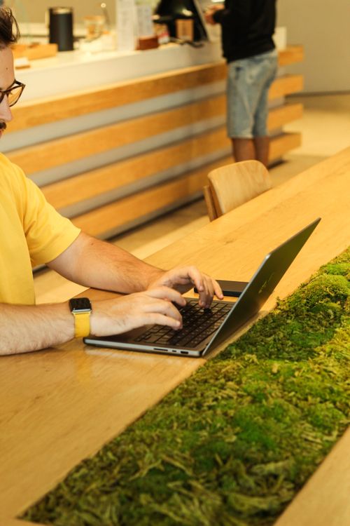 Free A person using a laptop at a wooden table with moss in a modern cafeteria setting. Stock Photo