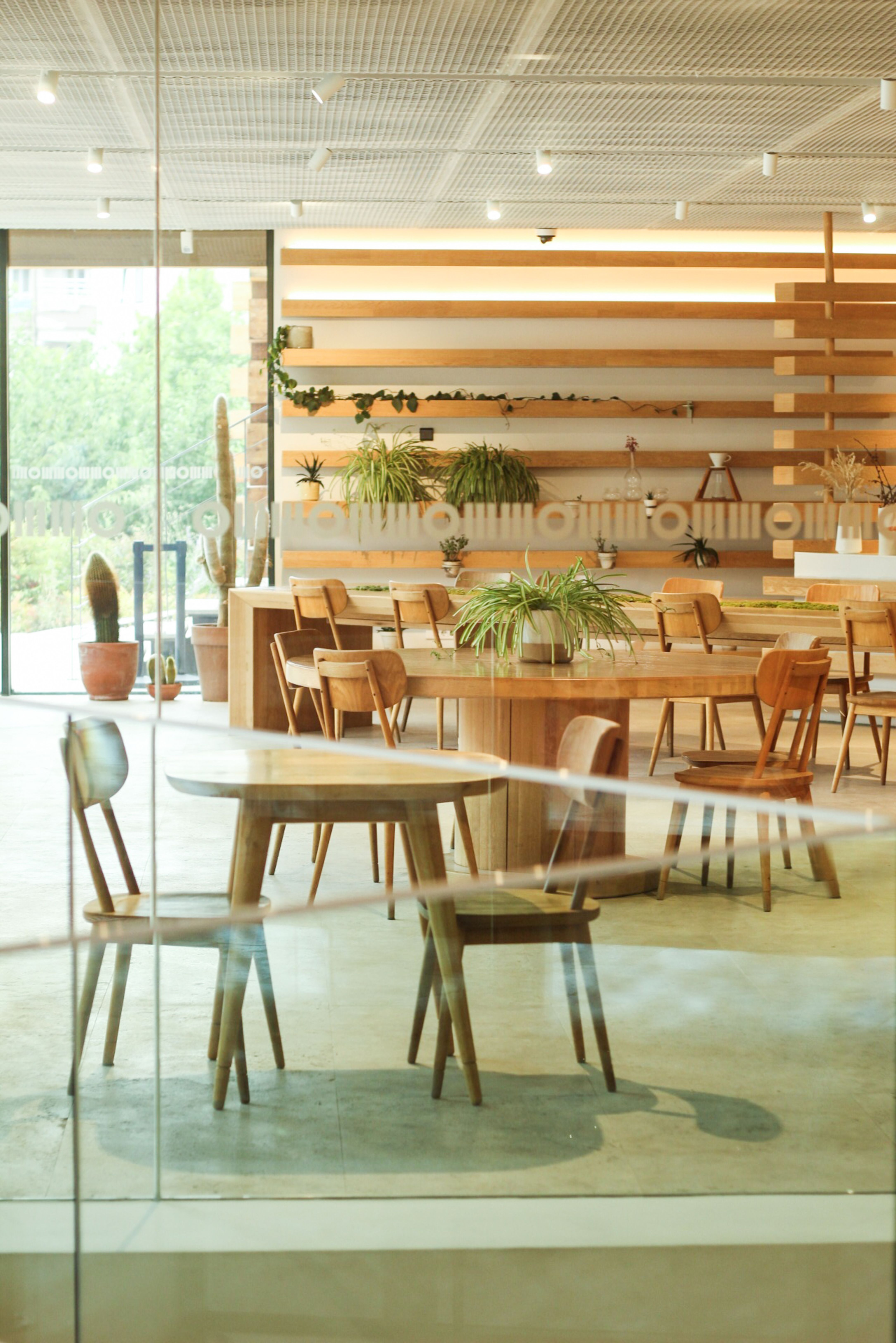A modern café interior showcasing wooden furniture and greenery with natural light.
