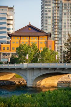 Captivating view of Calgary's Peace Bridge in summer, against a backdrop of modern architecture and greenery.