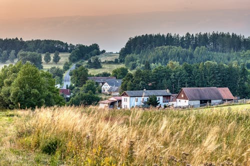 Houses and Rural Fields at Sunset 