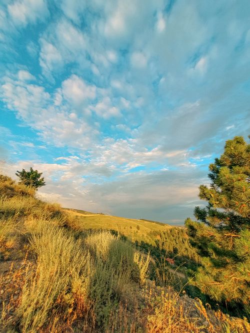 Free Explore a serene rural landscape with lush greenery and a vivid sky, perfect for nature enthusiasts. Stock Photo
