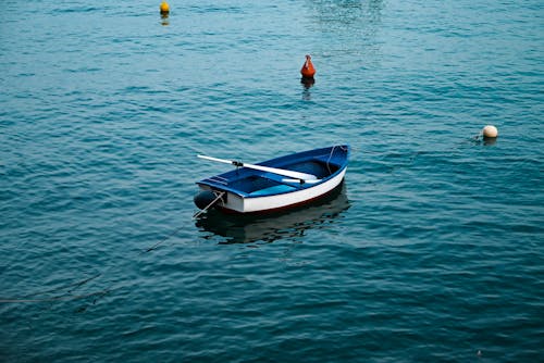 Бесплатное стоковое фото с буи, весла, вода