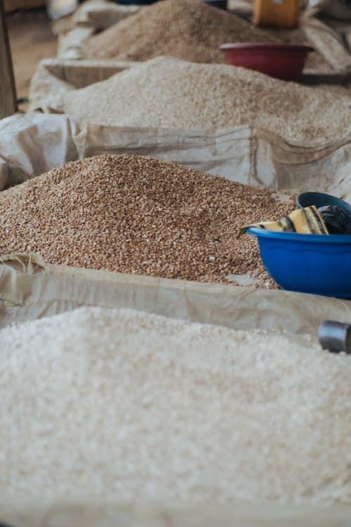 Seeds on a Market