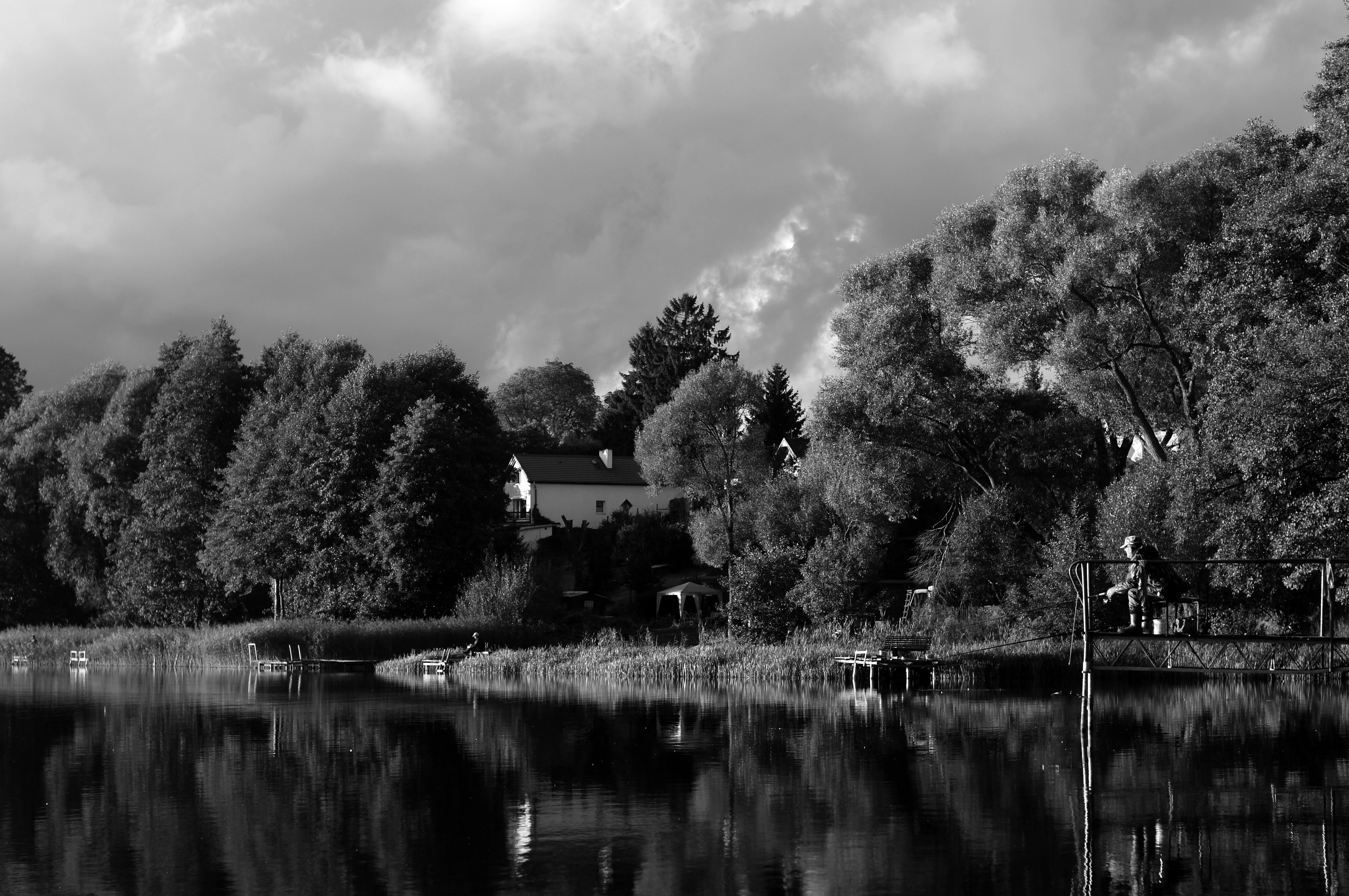 a black and white photo of a lake with trees