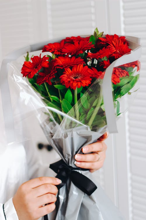 Woman Holding a Bouquet of Red Gerberas