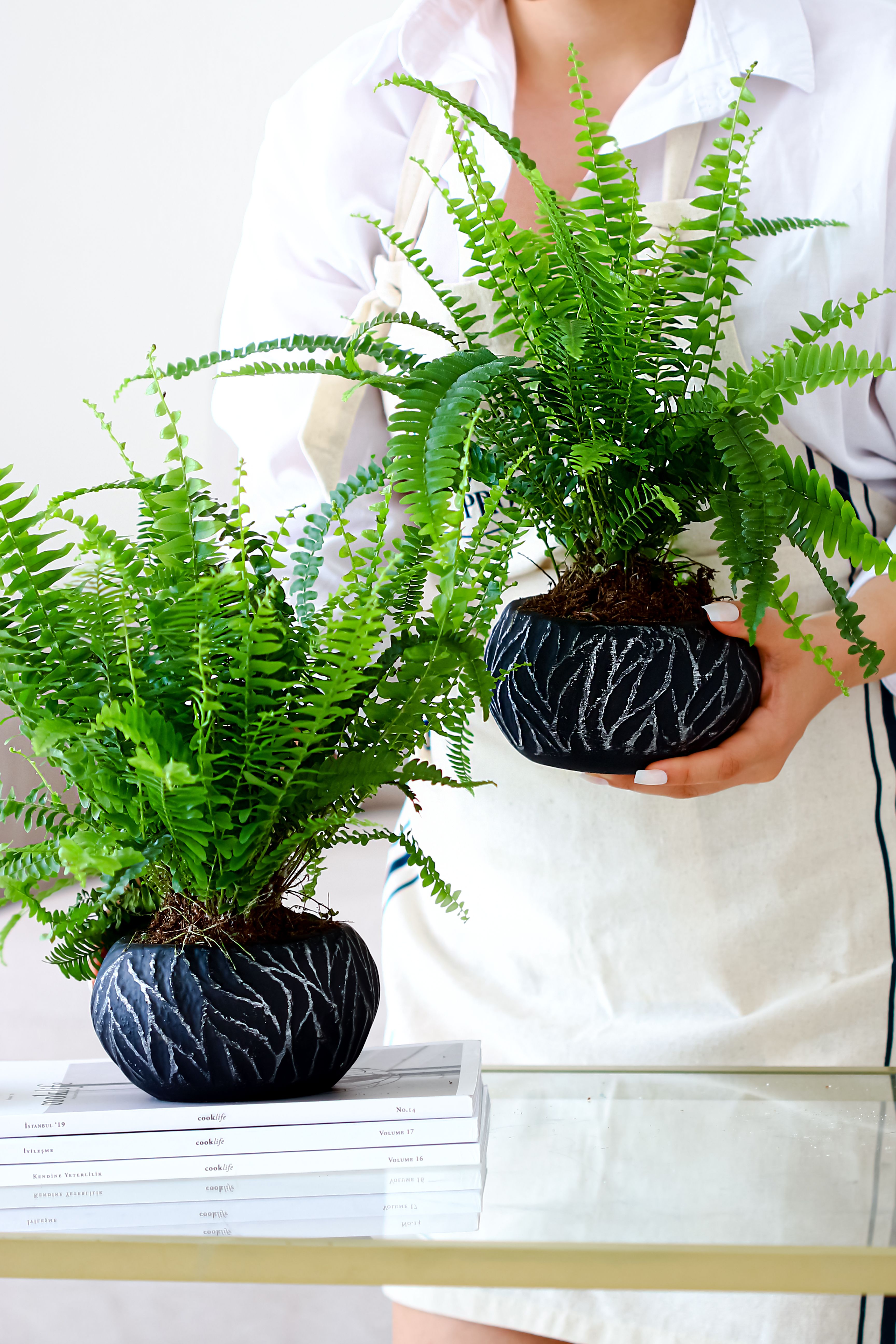 Woman Standing with Fern · Free Stock Photo