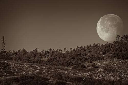 Moonset over Rampart Range