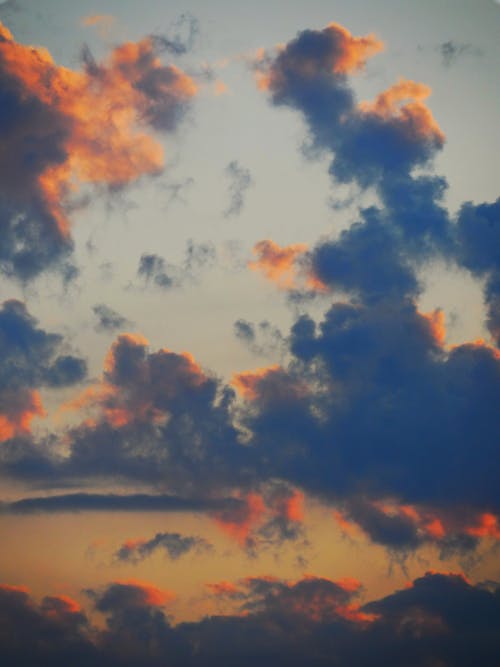 ドラマチックな空, 垂直ショット, 夕方の無料の写真素材