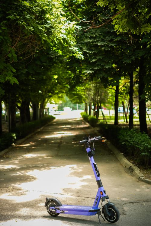 Free Purple electric kick scooter parked on a tree-lined path, capturing a serene park scene. Stock Photo
