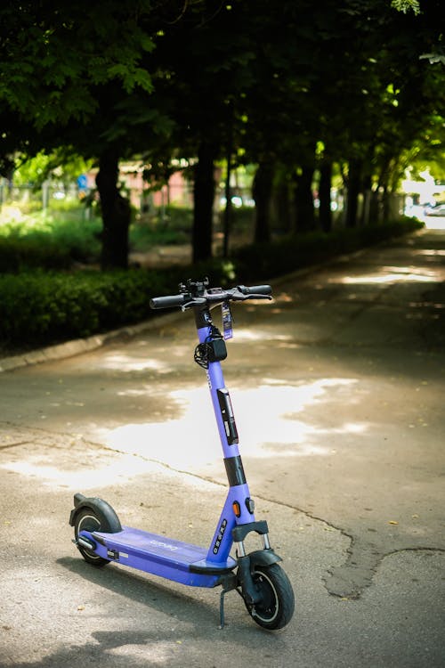 Rental Electric Push Scooter Standing in a Park