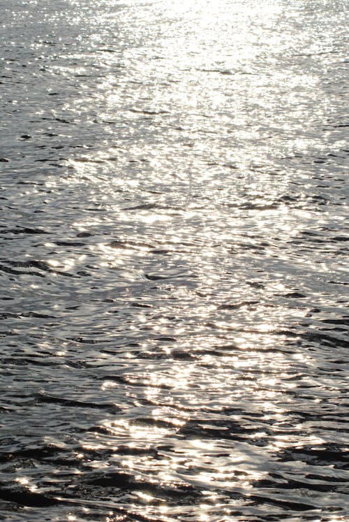 Light of the Sun Reflecting on the Rippling Water of the Ocean