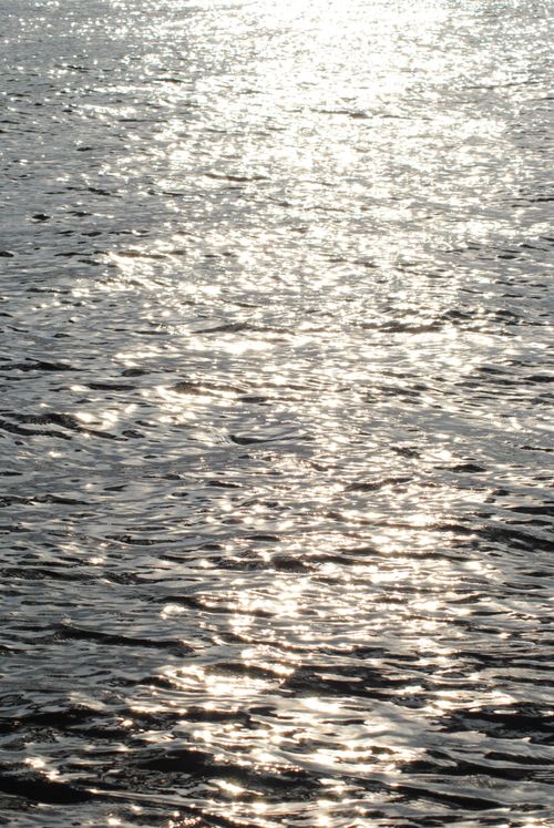 Free Sunlit ripples creating a sparkling effect on the ocean's surface. Stock Photo