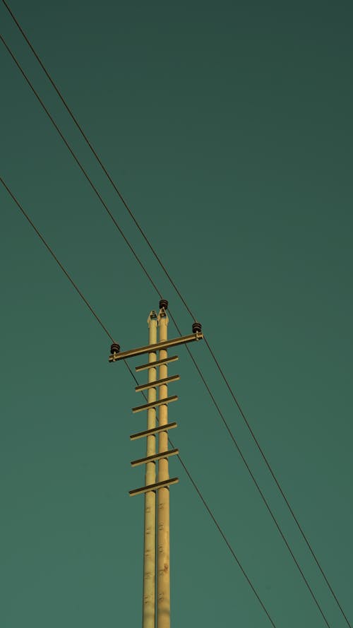 Utility Pole for Electrical Wires
