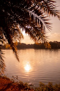 迷人的日落倒映在平静的泻湖中，棕榈叶构成了画框
