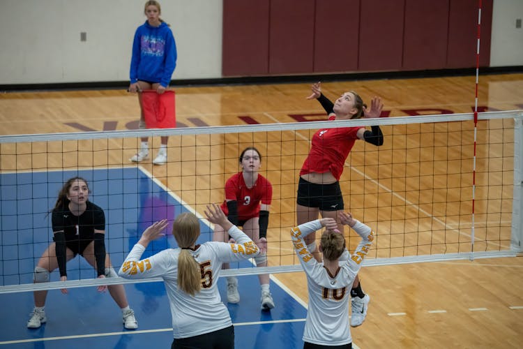 Women Playing Volleyball