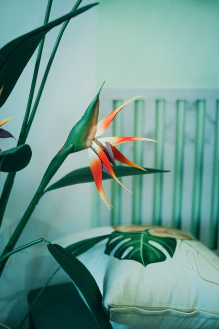 Photo by Pew Nguyen on pexels