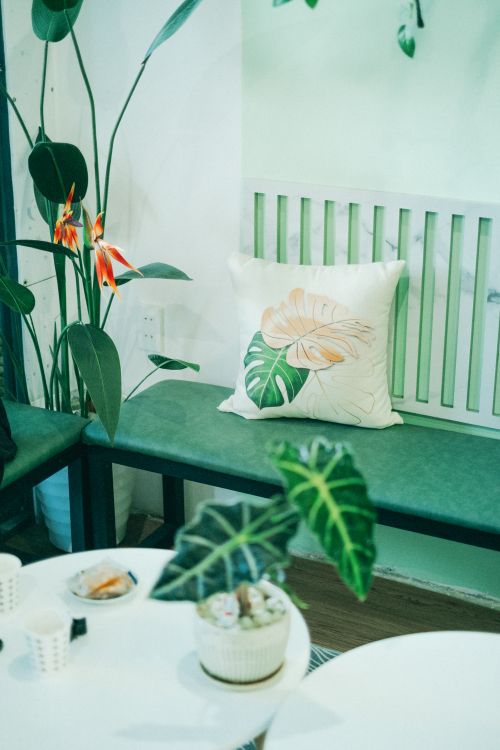Free A cozy indoor seating area with a bench, decorative pillow, and lush tropical plants. Stock Photo