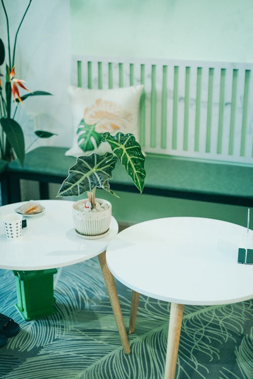 咖啡桌, 圓形, 垂直拍攝 的 免費圖庫相片