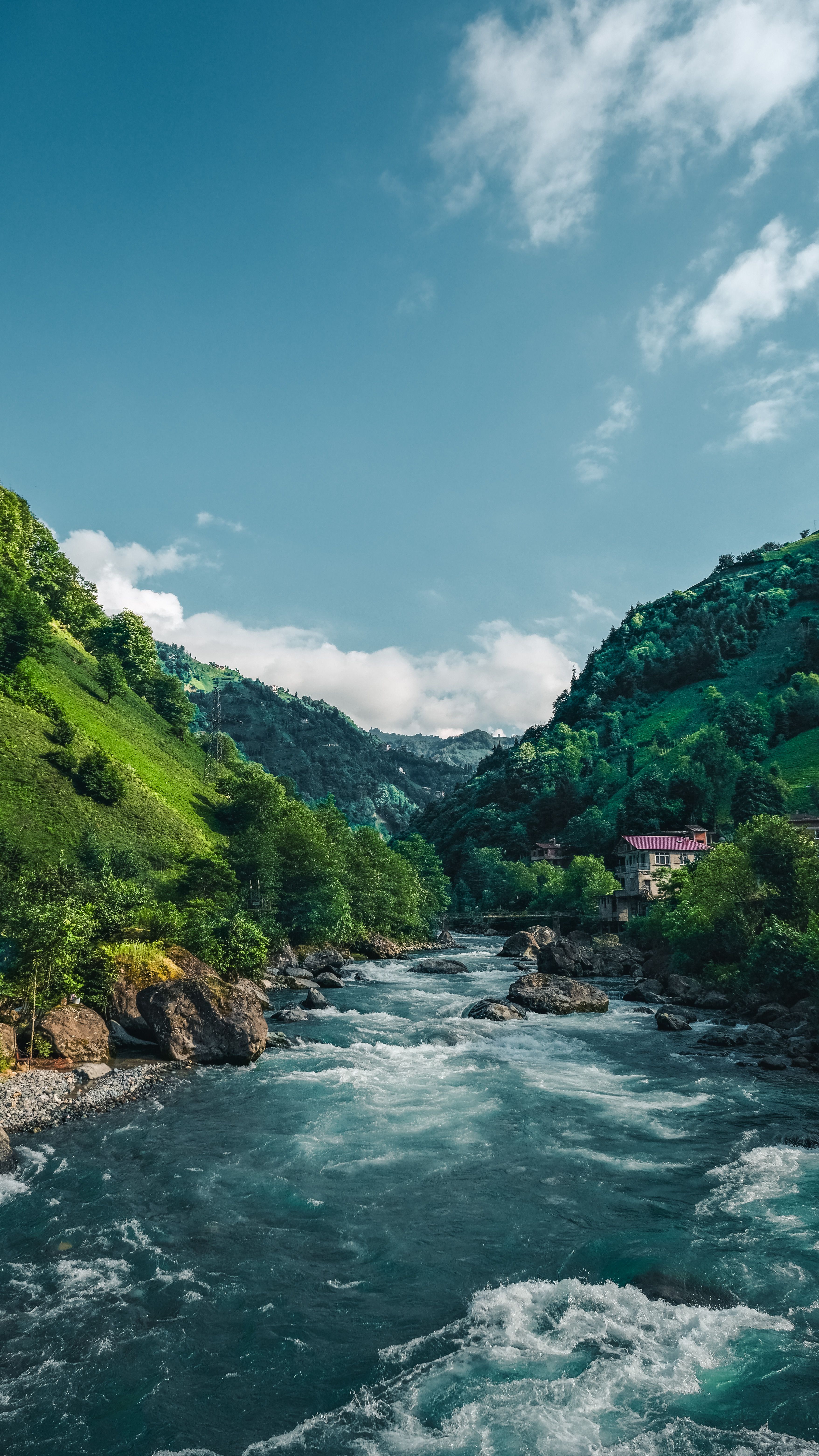 Picture of the day - nature wallpapers