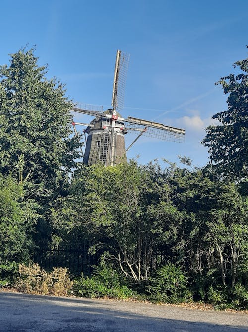 Foto d'estoc gratuïta de Голландия, деревья, мельница