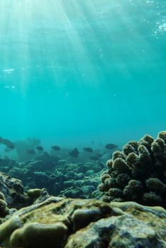 Stunning underwater view of a coral reef with fish, illuminated by sunbeams through turquoise water.