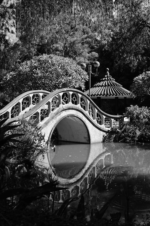Foto stok gratis hitam & putih, idilis, jembatan kaki