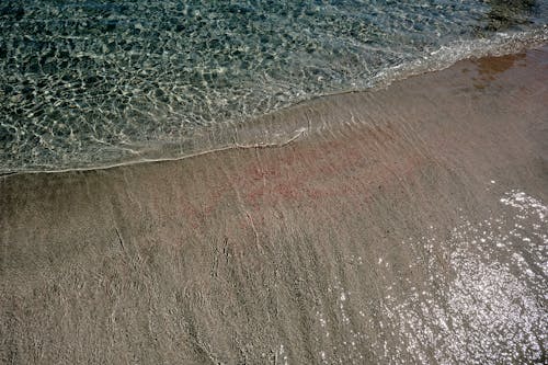 Wave on Sea Shore