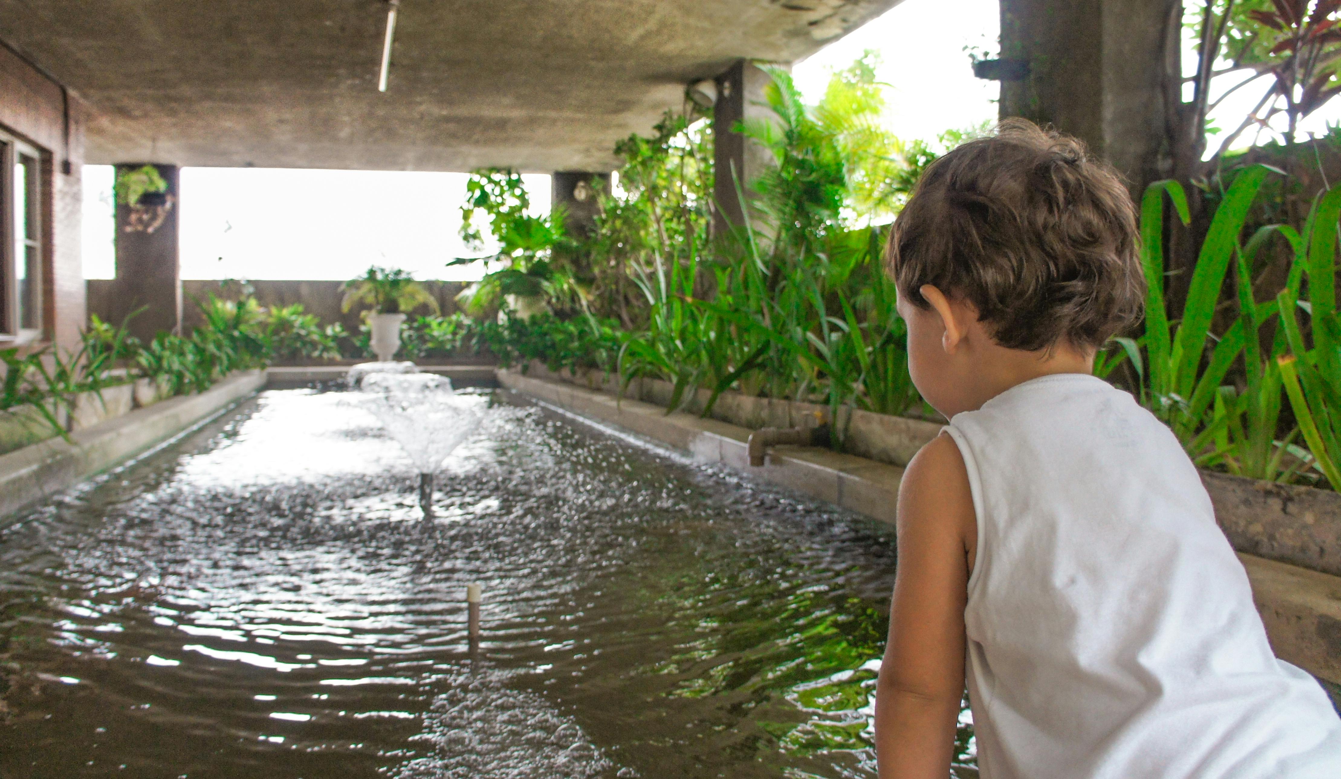 Free stock photo of baby, beach, child