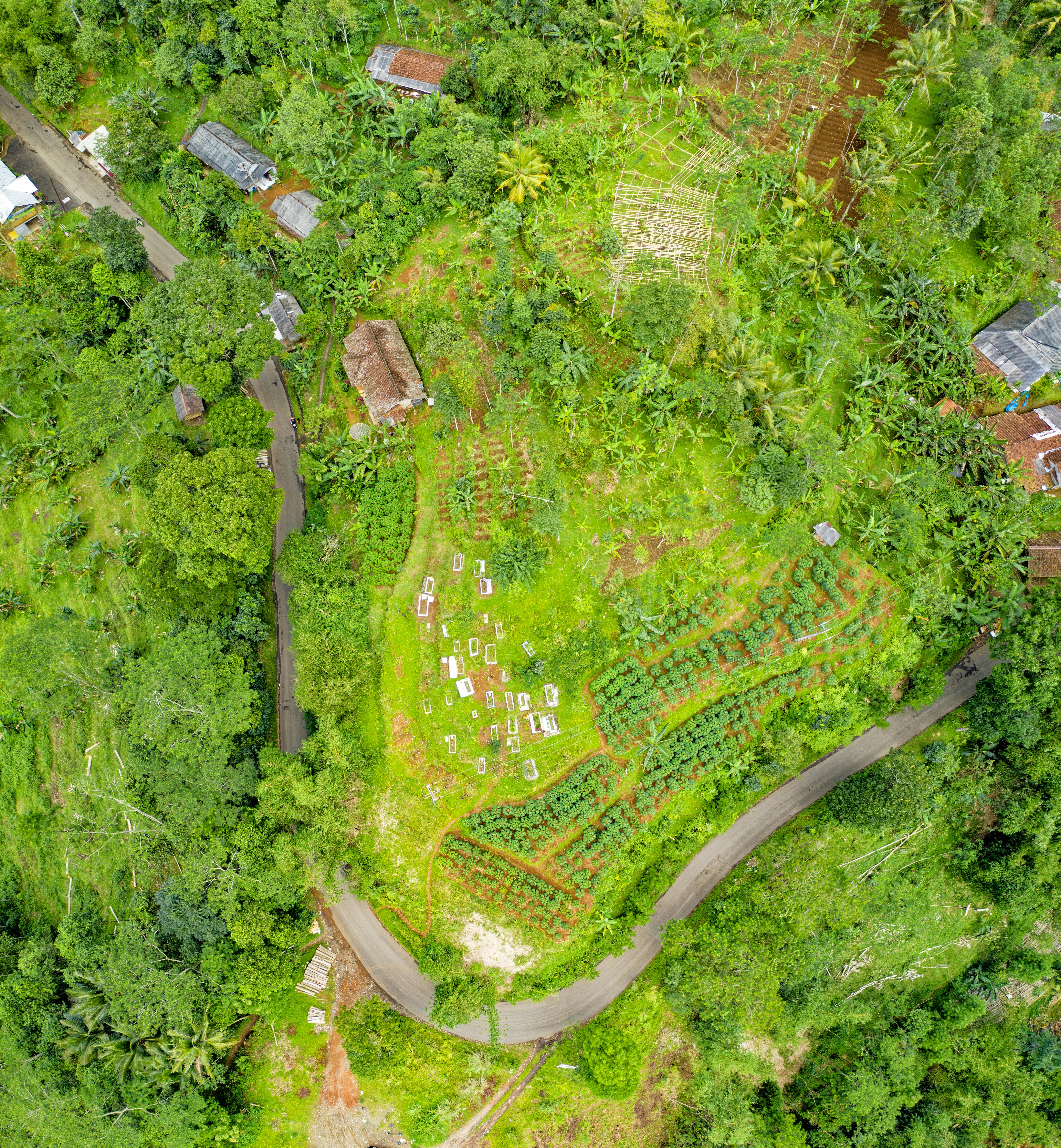 bird s eye view photography of green land